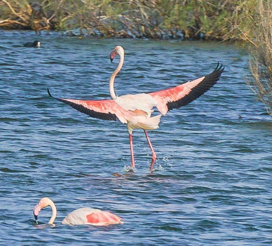 Rincón del Salar Playas de Vera Exterior foto